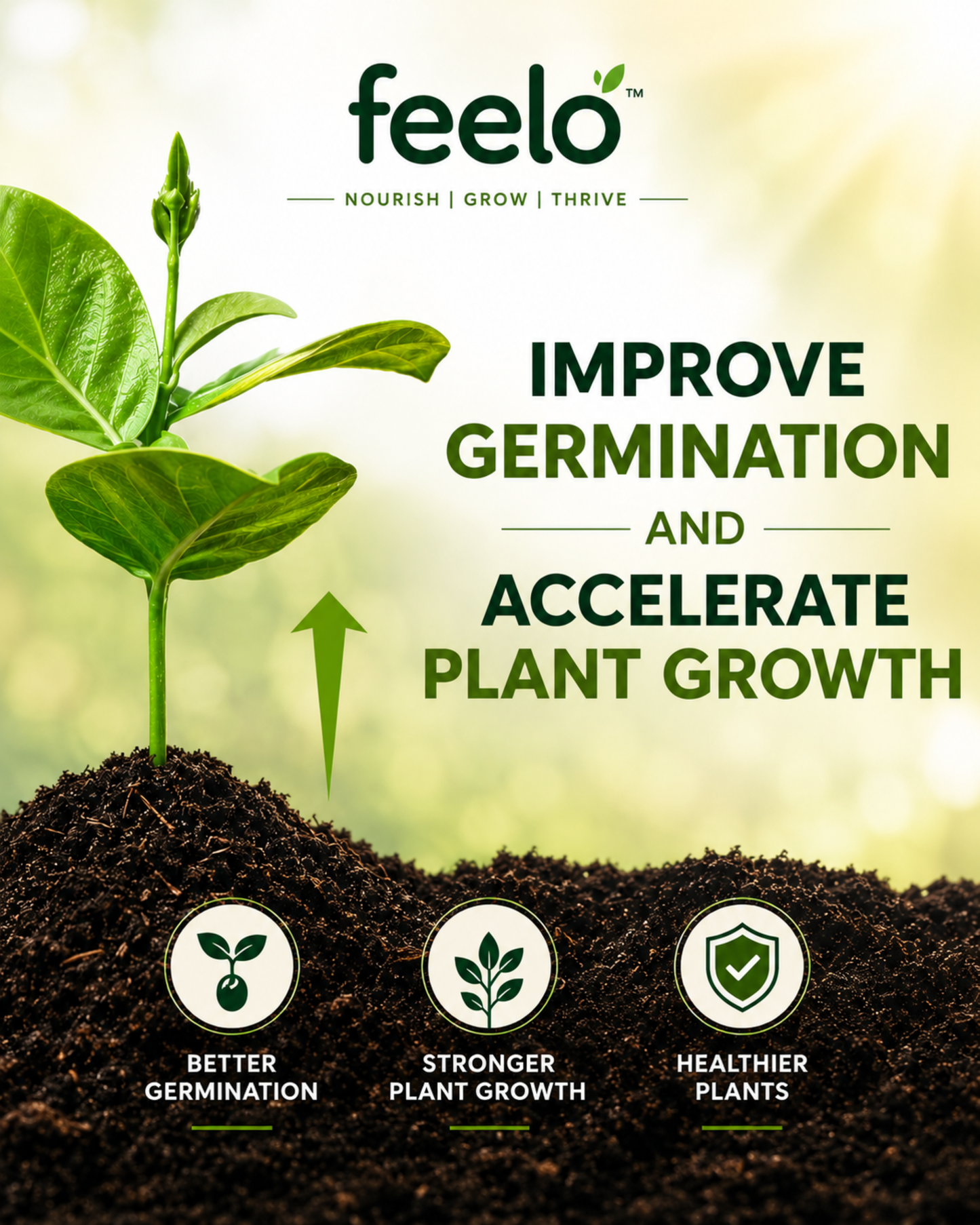 Feelo Soil Activator Nourish Soil Grow Stronger Plants